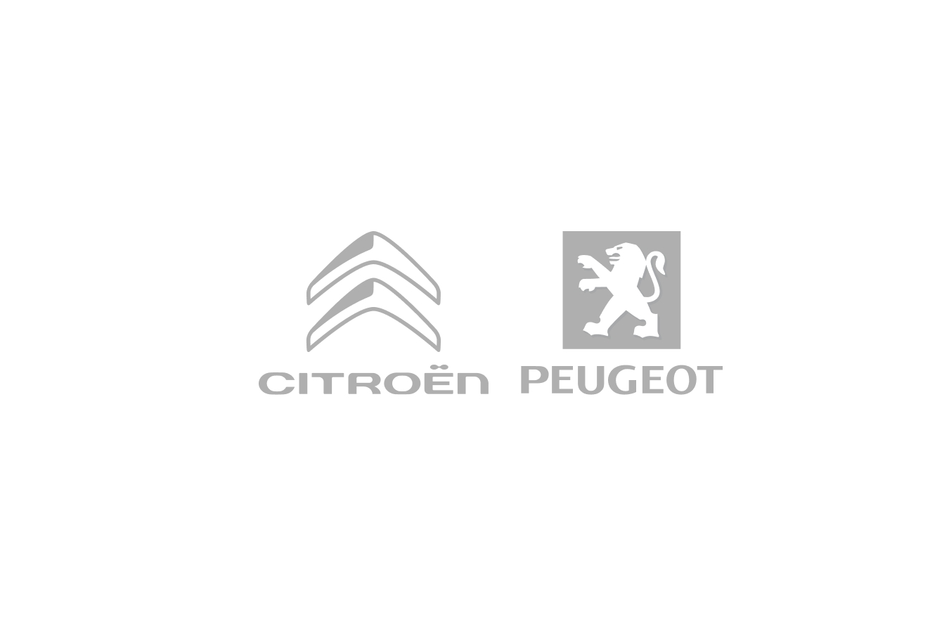 Кліпса пластикова Peugeot/Citroen 16 227 503 80