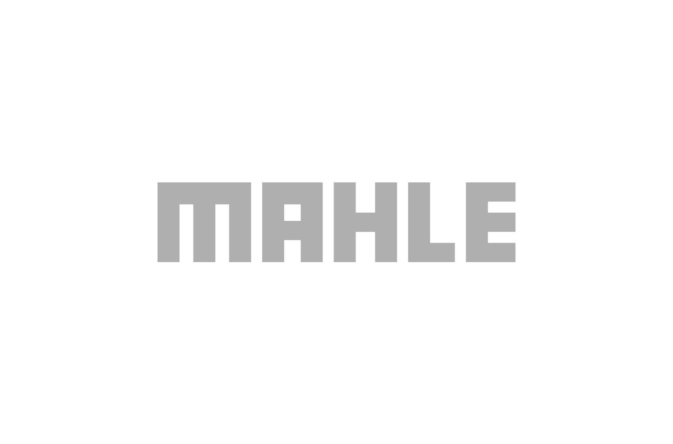 Вкладиші MAHLE / KNECHT 029 AS 18668 000