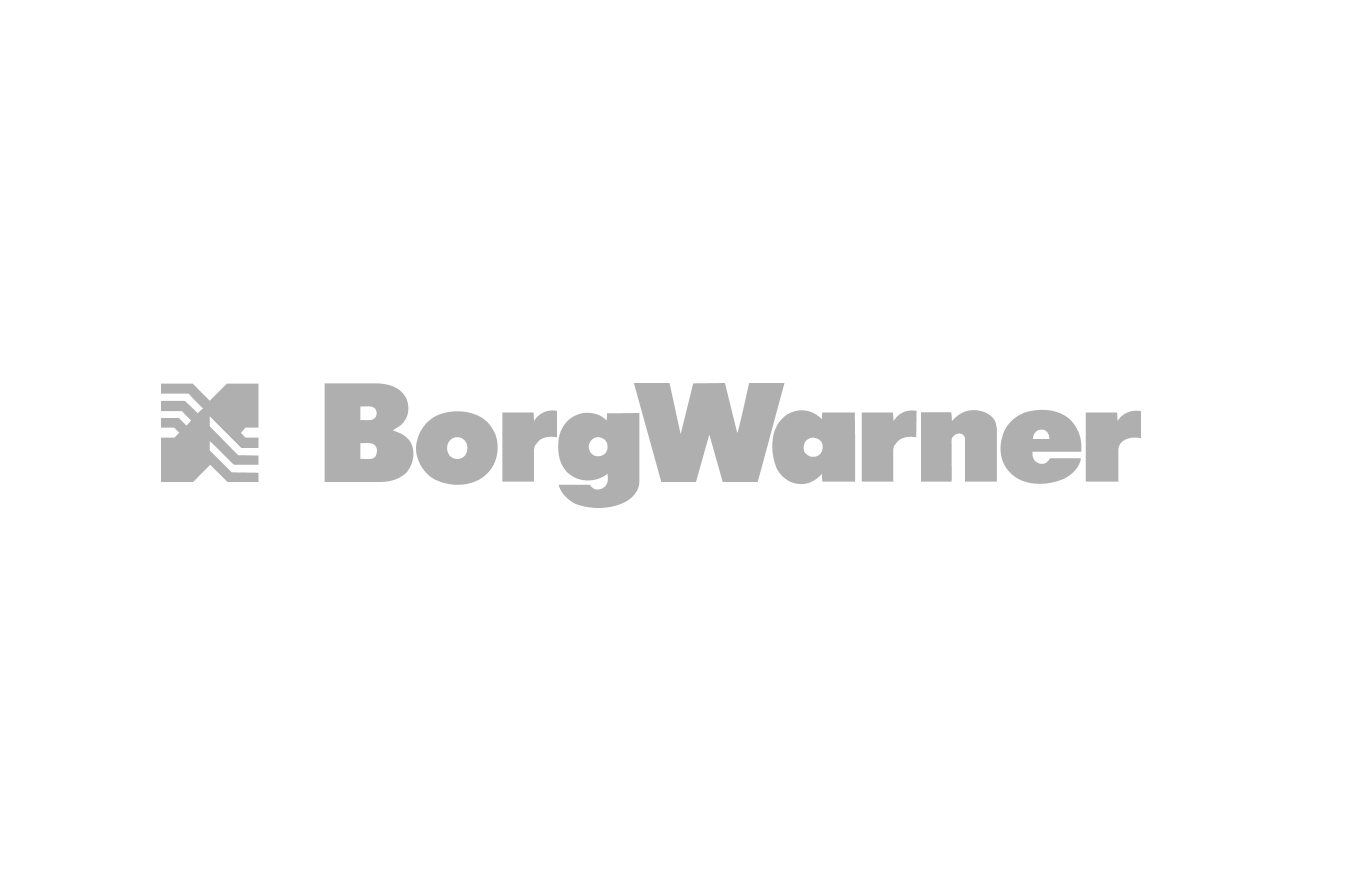 Планка заспокіювача BorgWarner 6537748