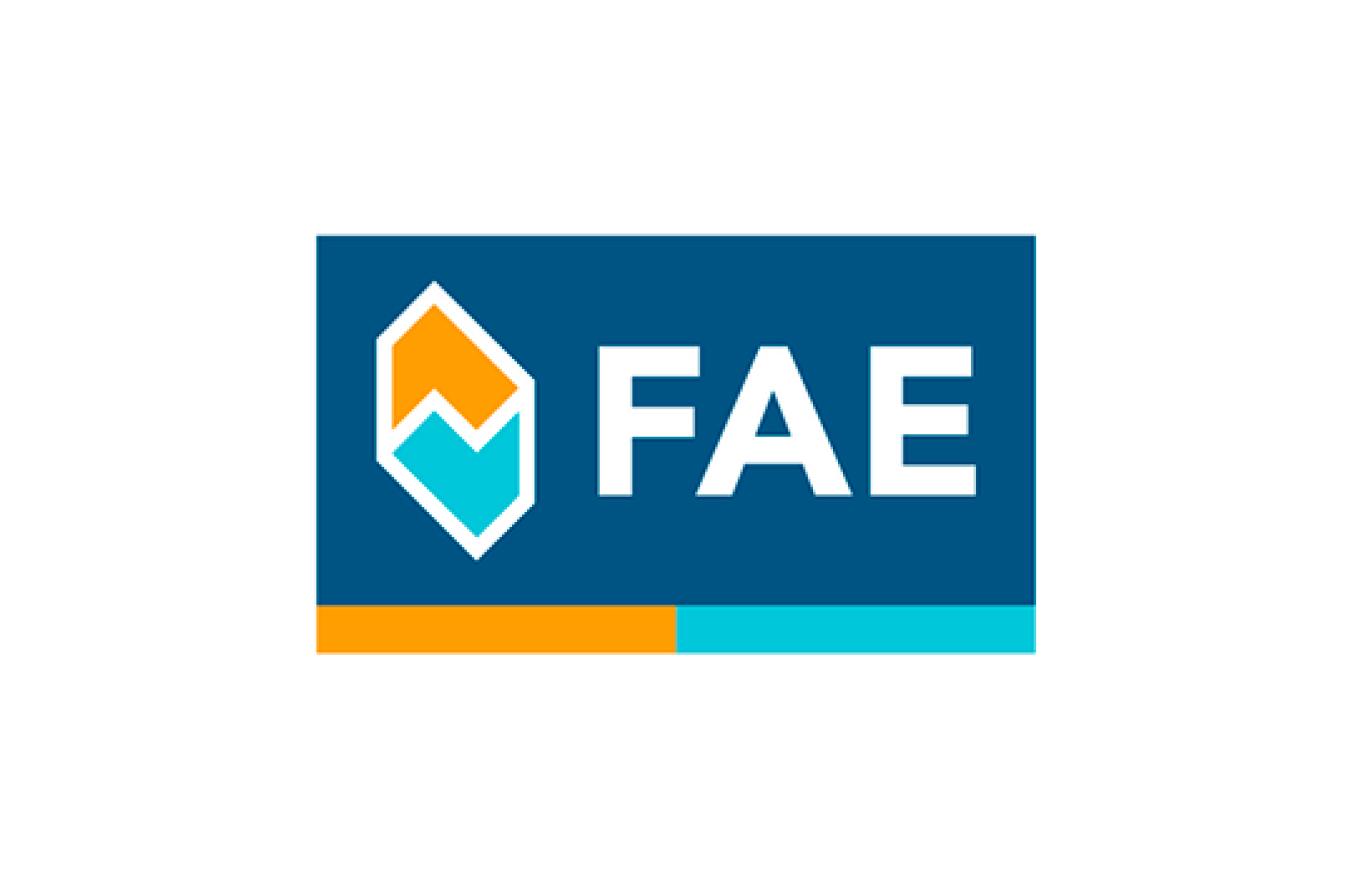 Запчасти FAE