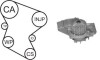 CITROEN К-кт ГРМ (помпа з прокладкою + 2 ролика + ремінь) JUMPY 1.9 D 70 98-03, XSARA 1.9 D 98-05, FIAT SCUDO 1.9 D 98-06, TOYOTA COROLLA 1.9 D 00-01 AIRTEX WPK-1580R04 (фото 1)