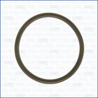 Прокладка трубки охолоджувальної рідини Ford Transit (19-) 2.0d AJUSA 16525500