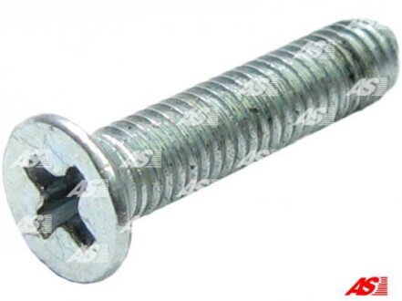 Болт з хрестовидним шліцом з чорного металу AS-PL ARS0024 (фото 1)
