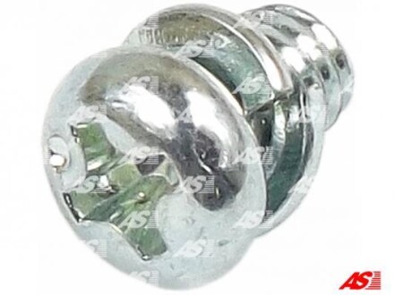 Фото 1 - болт з хрестовидним шліцом з чорного металу AS-PL ARS6008 Болт з хрестовидним шліцом з чорного металу AS-PL ARS6008 (фото 1)