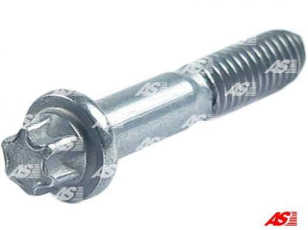 Болт з головкою системи TORX з чорного металу AS-PL SP1003