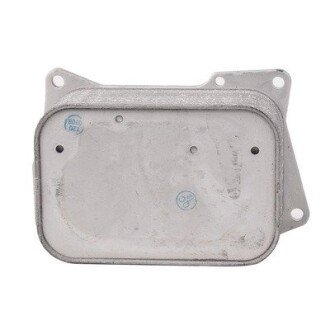 Масляний радіатор двигуна Bapmic BF0426490070