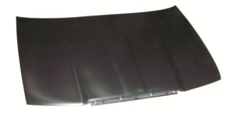Капот BLIC 6803007520280Q