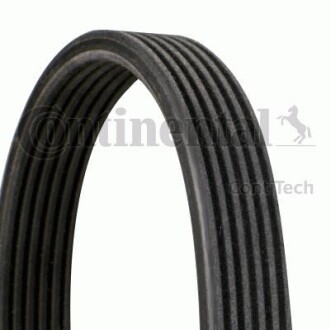 Доріжковий пас Contitech 6DPK1225