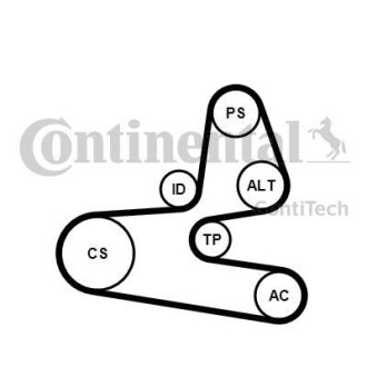 Комплект доріжкових пасків Contitech 6PK1564K1 (фото 1)