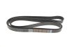 Ремінь генератора VW LT 28-35 2.5 SDI 96-06 (8PK2482) DAYCO 8PK2482HD (фото 4)