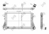 Радіатор інтеркулера а PASSAT/TIGUAN 1.4-2.0 05- DEPO 053-018-0013 (фото 1)