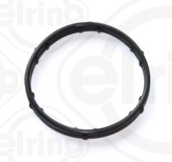 Кільце ущільнення, coolant tube ELRING 248.250