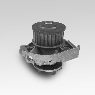 Водяна помпа HEPU P127