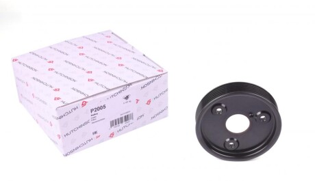 Шків насосу ГПК Renault Master 2.2DI (103mm)(6PK) (OE всередині) HUTCHINSON P2005