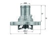 Термостат MAHLE / KNECHT TI12287D (фото 1)
