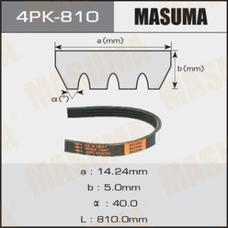 Ремінь поліклінової (4PK-810) MASUMA 4PK810