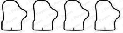 Комплект прокладок гумових Payen HA5071