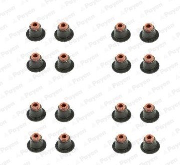 Сальник клапана (компл.) BMW N42/N46 (16PCS) Payen HR5086