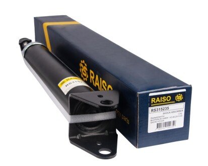 Амортизатор задній Mercedes M-Class 05-11 RAISO RS315235