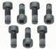 Болт з шестигранною головкою SACHS 1874 000 040 (фото 1)