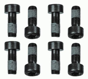 Комплект болтів зчеплення SACHS 1874000060