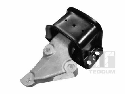 Опора двигуна гумометалева TEDGUM 00516309