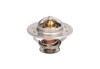 Термостат THERMOTEC D2CA004TT (фото 1)