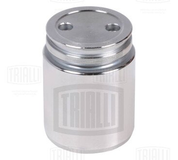 Поршень зад. суппорту для а/м Ford/Mazda/Opel/Renault/SAAB/VOLVO d=38mm (RCF 102064) Trialli RCF102064 (фото 1)