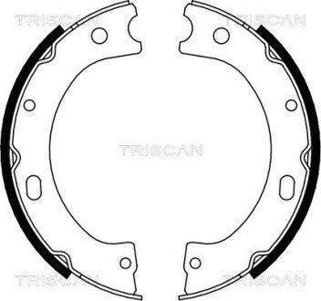 Комплект гальмівних колодок, стоянкове гальмо TRISCAN 810014011