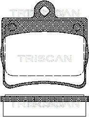 Колодки гальмівні задні TRISCAN 811023016