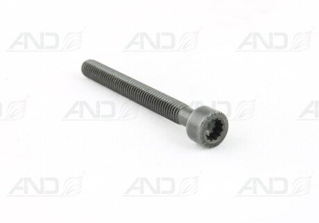 Болт M6X55 кріплення насос-форсунки AUDI/VW VAG 070103385A