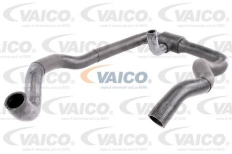 Шланг гумовий сист. охолоджен. VAICO V102802