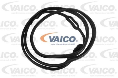Ущільнювач дверей VAICO V301547