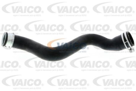 Шланг гумовий сист. охолоджен. VAICO V301916