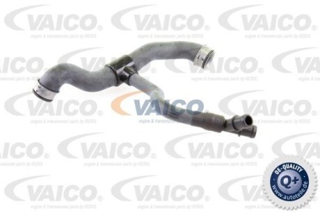 Шланг гумовий сист. охолоджен. VAICO V302231