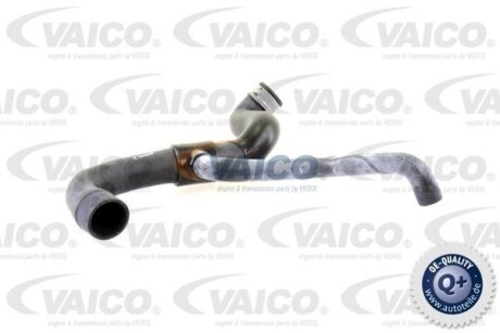 Шланг гумовий сист. охолоджен. VAICO V302232