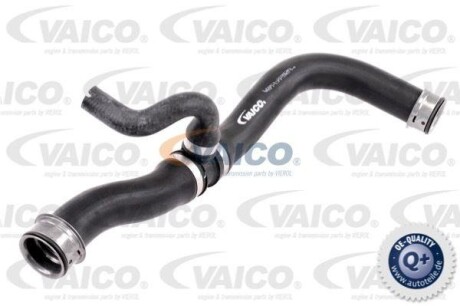 Шланг гумовий сист. охолоджен. VAICO V302906