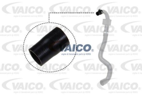 Патрубок інтеркулера VAICO V460827