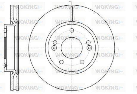 Диск гальмівний передній (кратно 2) (Remsa) Hyundai Tucson I, i30, Kia Sportage, Ceed 08>12, Soul, Venga (D61208.10) WOKING D6120810 (фото 1)