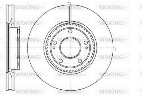 Диск гальмівний передній (кратно 2) (Remsa) Hyundai Sonata NF, Tucson I Sportage / i30 08> 12> (D61217.10) WOKING D6121710 (фото 1)