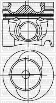 Поршень с кольцами і пальцем (размер отв. 81.01/STD) VW LT 2.5TDI -06 (AVR Turbo VGT, Inter cool 109PS) YENMAK 31-04338-000 (фото 1)