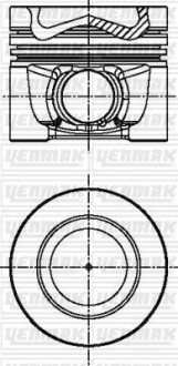 Поршень с кольцами і пальцем (размер отв. 81.01/STD) VW T-V/VI, Amarok, Golf V/VI/Plus, 2.0TDI 05-, AUDI, SKODA, (CBBB) YENMAK 31-04341-000